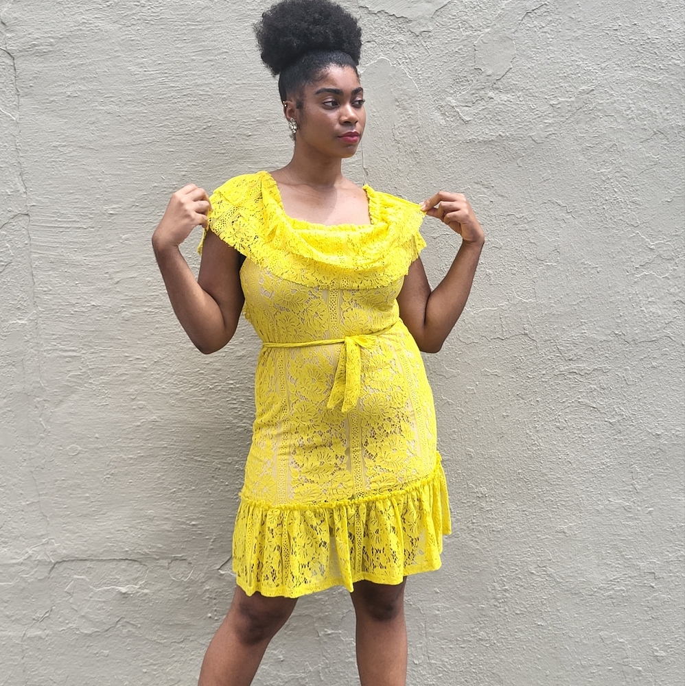 ⚡️Flirty and Feminine Lace Dress by Sharagano - Picture 1 of 7